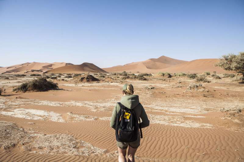 BushTrip de Windhoek au Cap
