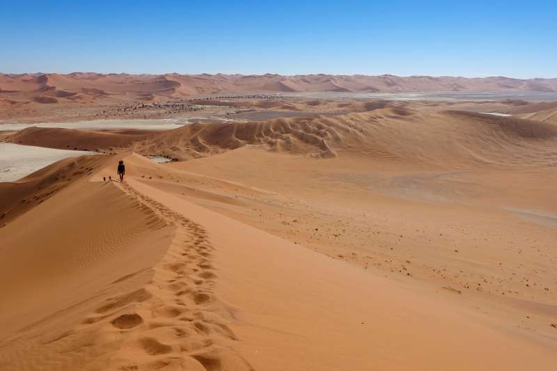 Randonnée dans le désert du Namib - Namibie