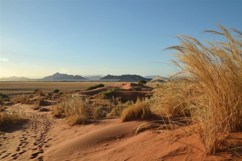 Dune d'Elim - Namibie