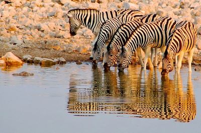 Voyages sur mesure Namibie