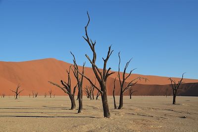 Austral gagnant, du Namib aux Chutes Victoria 4