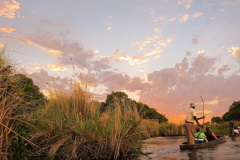 En mokoro sur le delta de l'Okavango - Botswana