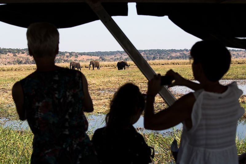 Safari en bateau sur la rivière Chobe - Botswana