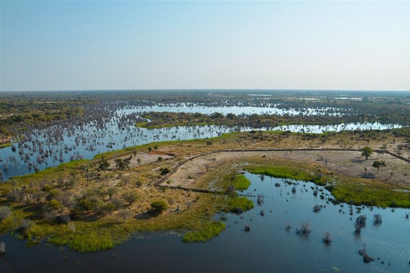 Parc National Chobe - Botswana