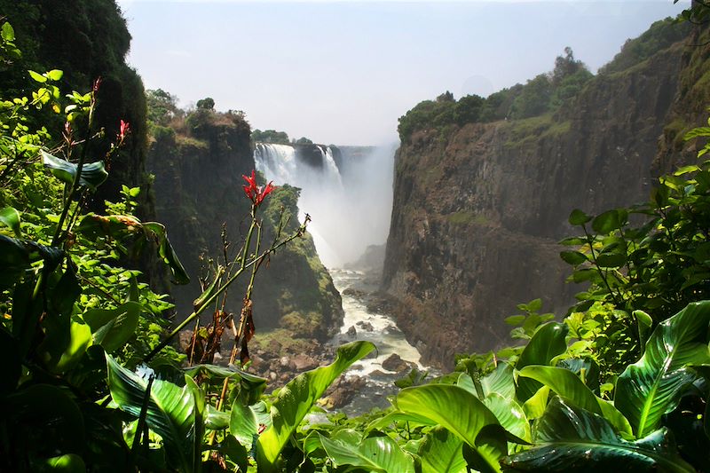 Chutes Victoria - Zimbabwe