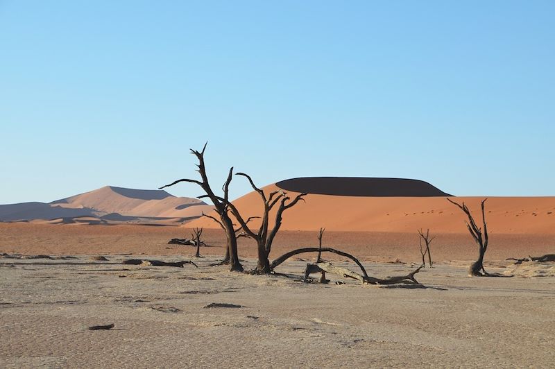 Dead Vlei - Dunes de Sossusvlei - Parc national du Namib-Naukluft - Namibie