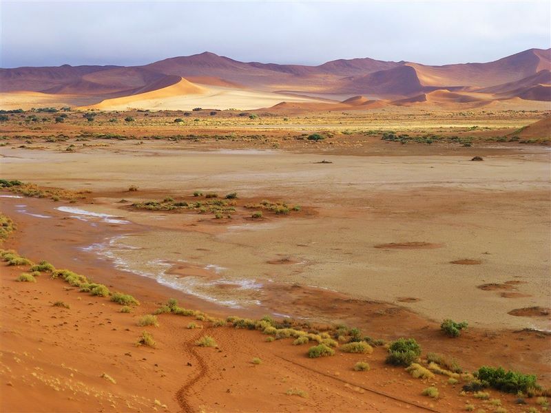 Désert du Namib et faune d'Etosha !