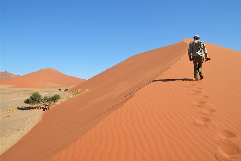 Dead Vlei - Dunes de Sossusvlei - Parc national du Namib-Naukluft - Namibie