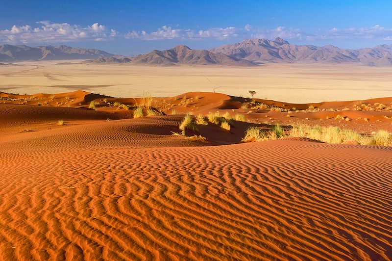 Désert du Namib - Namibie