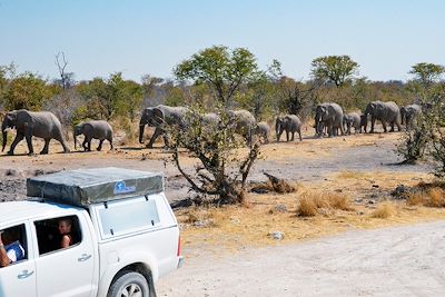 voyage Namibie