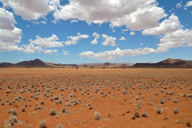 Réserve naturelle du Namib Rand - Namibie