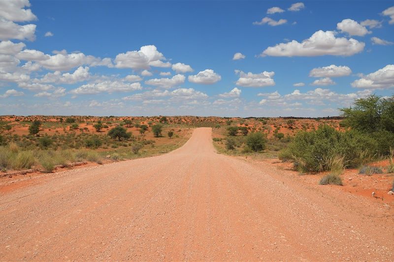 Route dans le désert du Kalahari - Namibie