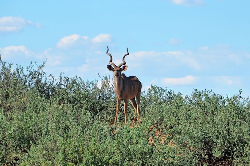 Trek et self-catering en Namibie