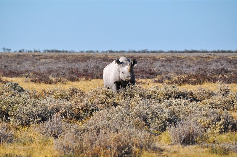 Trek et self-catering en Namibie