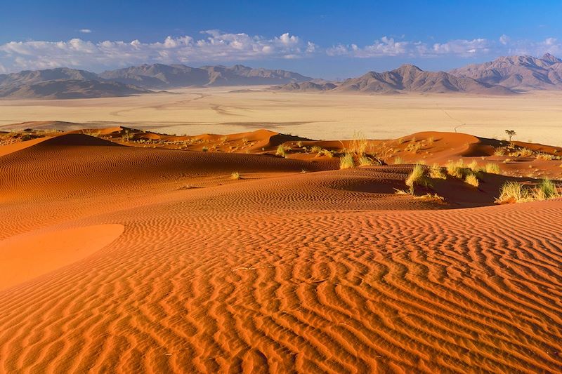 Désert du Namib - Namibie