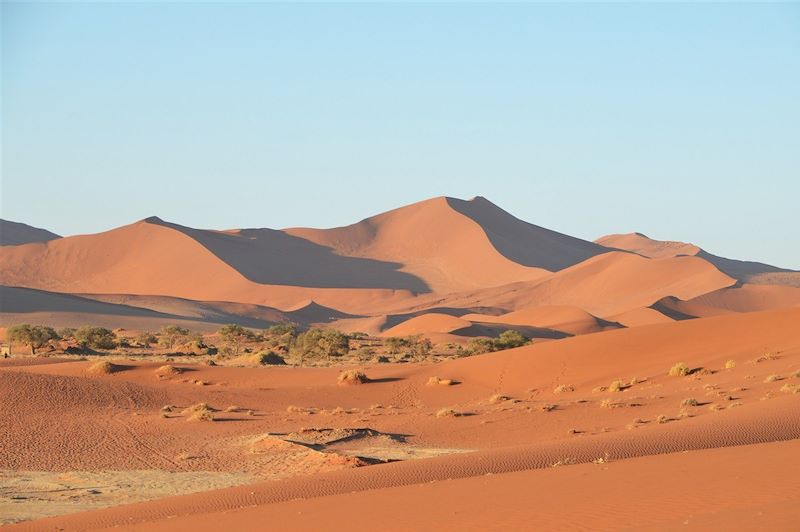 Dead Vlei - Dunes de Sossusvlei - Parc national du Namib-Naukluft - Namibie