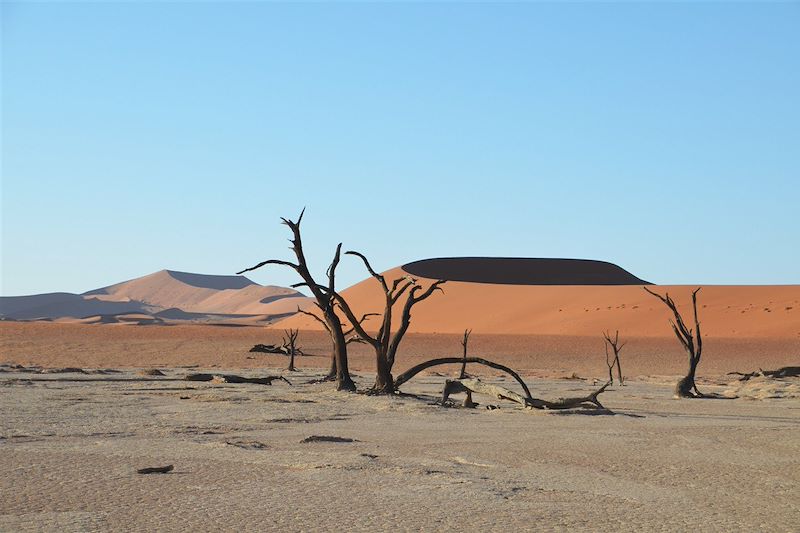 Dead Vlei - Dunes de Sossusvlei - Parc national du Namib-Naukluft - Namibie