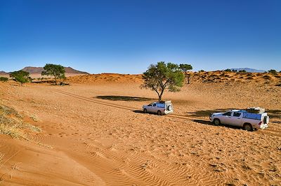 voyage Namibie