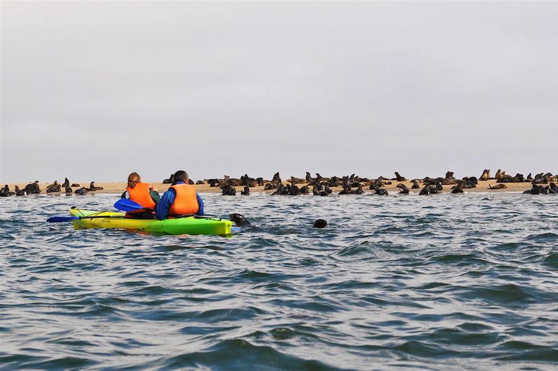 Kayak à Walvis Bay - Région d'Erongo - Namibie