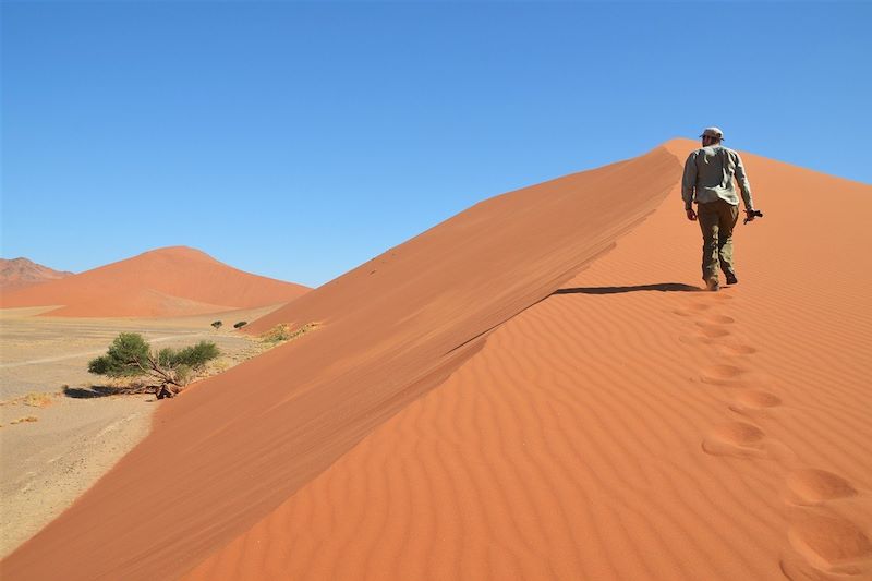 Dead Vlei - Dunes de Sossusvlei - Parc national du Namib-Naukluft - Namibie