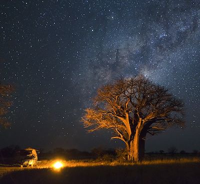 Safari Namibie