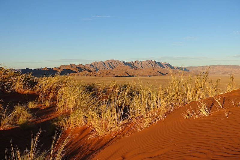 Désert du Namib - Namibie