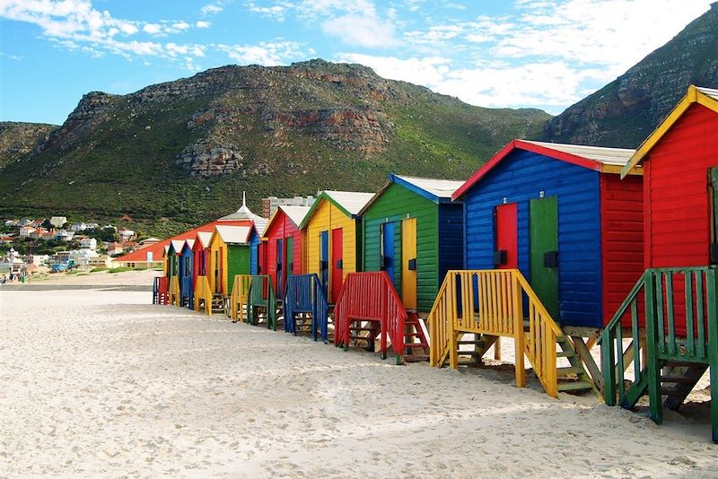 Plage du Cap - Afrique du Sud