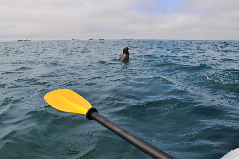 Kayak à Walvis Bay - Région d'Erongo - Namibie