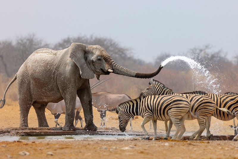 voyage Namibie