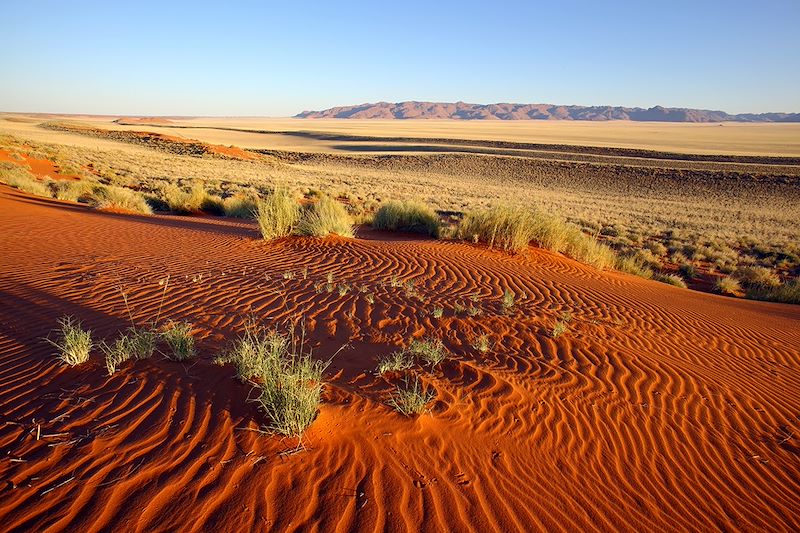 Désert du Namib - Namibie