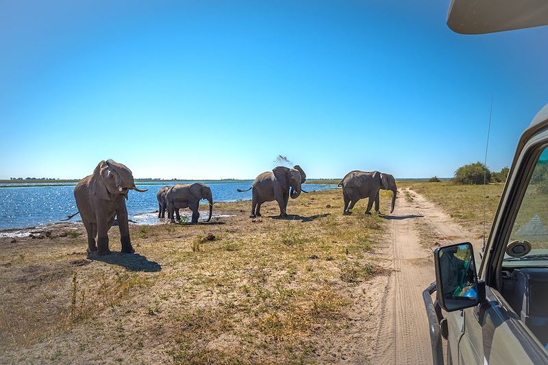 Safari dans le Parc National de Chobe - Botswana