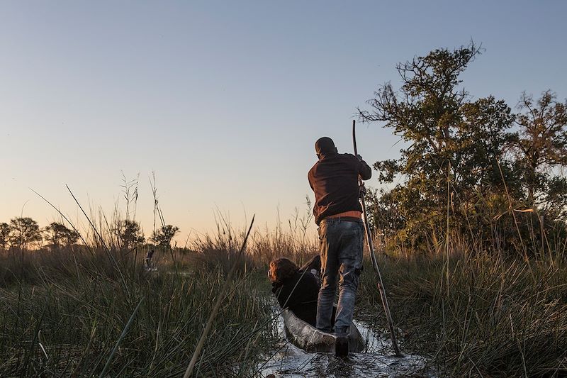 En mokoro dans les Cyperus Papyrus de l'Okavango - Botswana