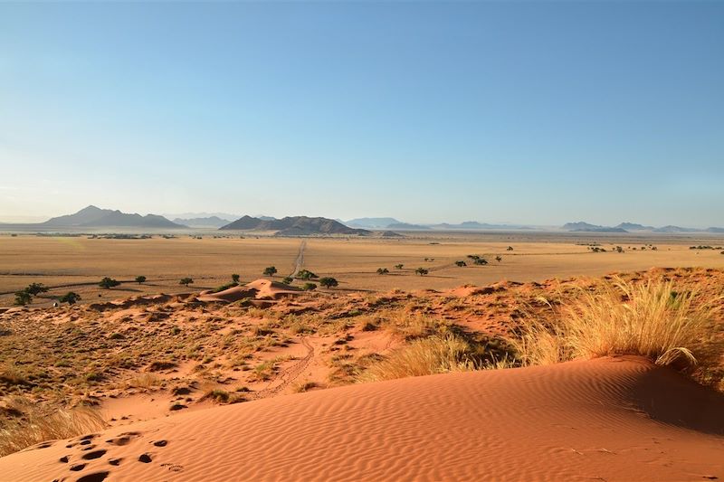 Dune d'Elim - Désert du Namib - Namibie