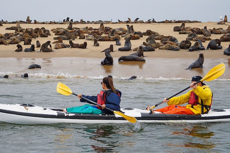 Kayak à Cape Cross - Côte des Squelettes - Namibie