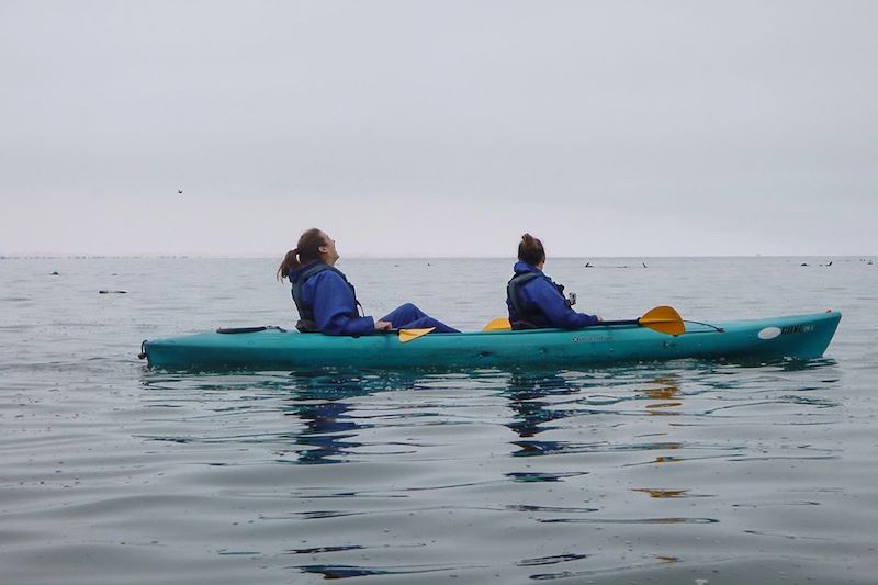 En canoë à Walvis Bay - Namibie