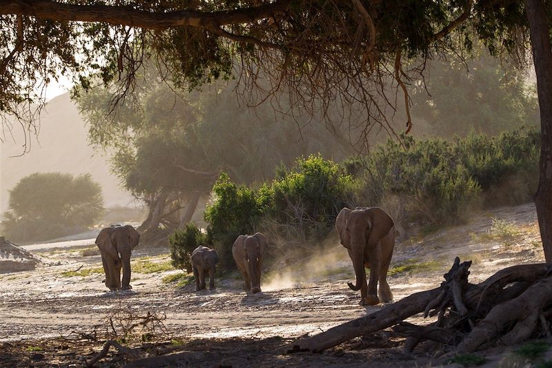 Hoanib Skeleton Coast - Namibie 