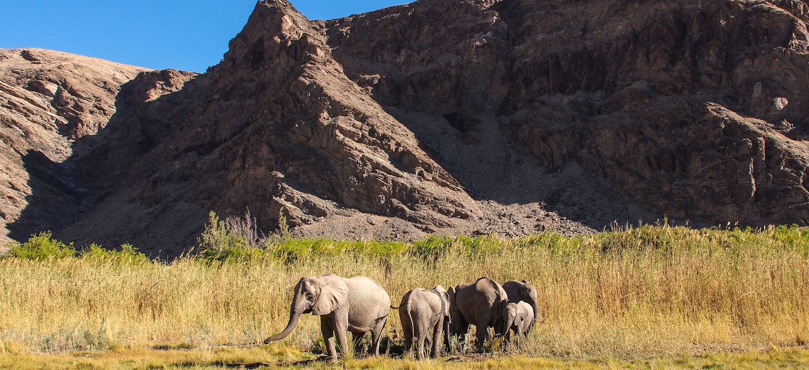Image Grand trek : Namib, Damaraland, Kaokoland !
