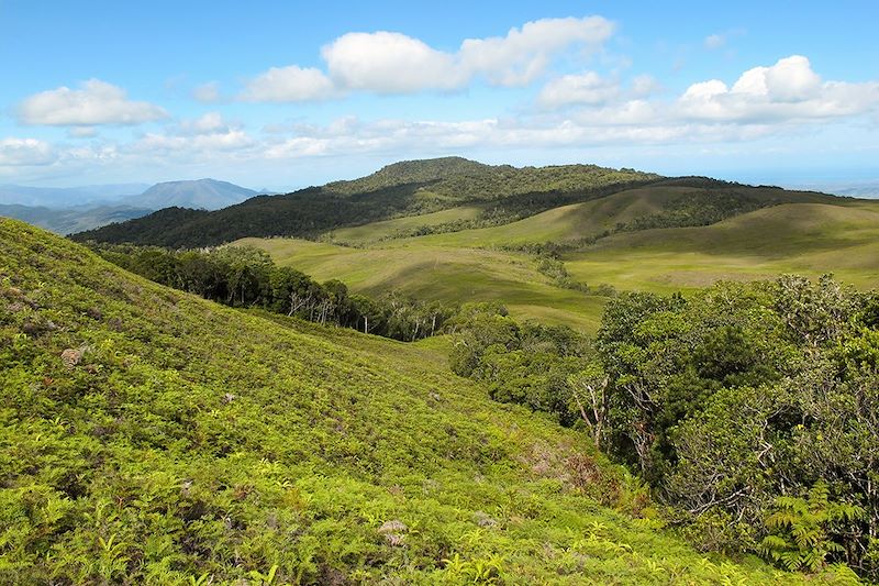 Plateau de Dogny - Nouvelle-Calédonie