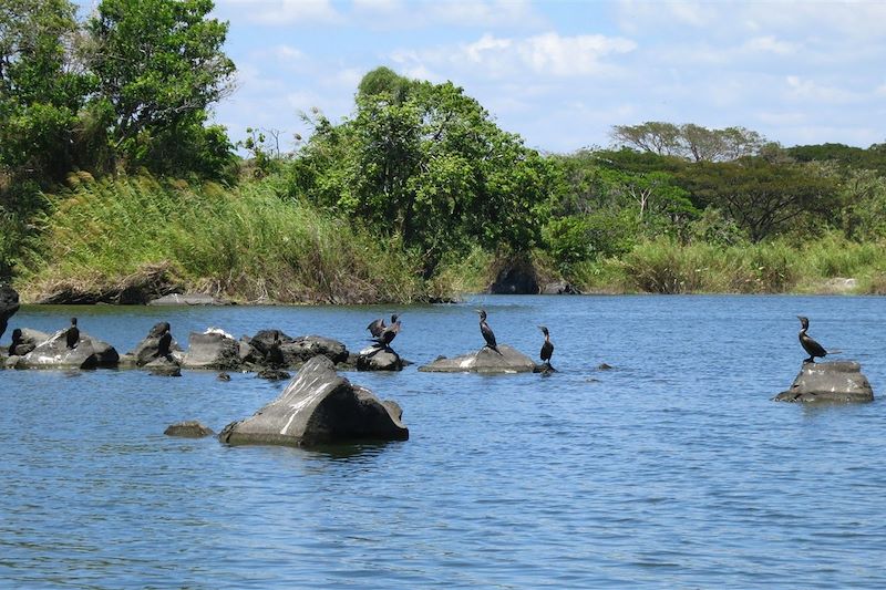 Las Isletas - Nicaragua