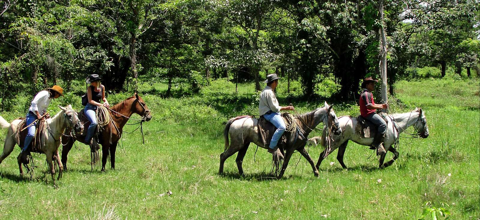 Voyage avec des animaux Nicaragua : Du Pantanal aux volcans, à cheval ! Voyage avec des animaux Nicaragua : Du Pantanal aux volcans, à cheval !
