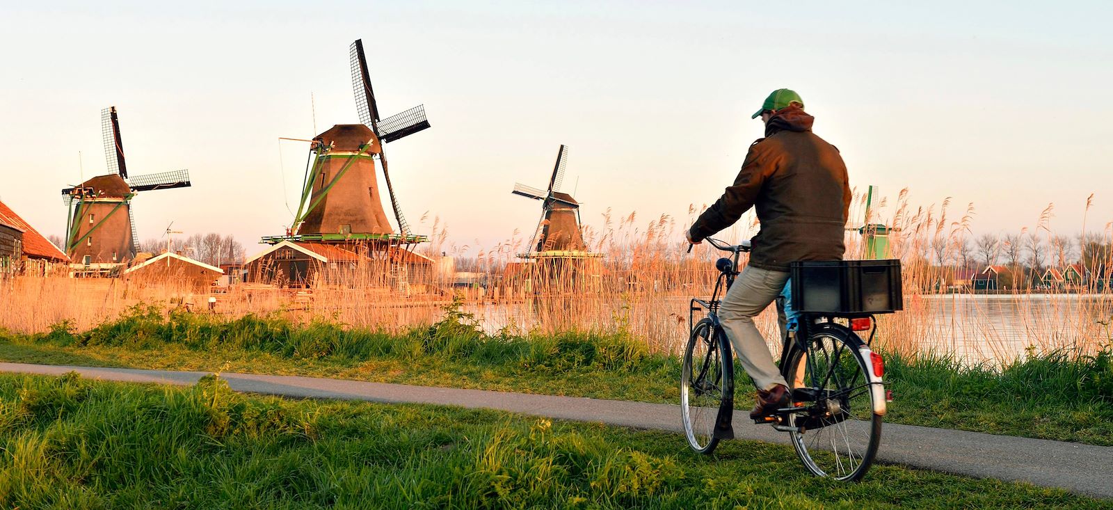 Les Pays-Bas 100% local