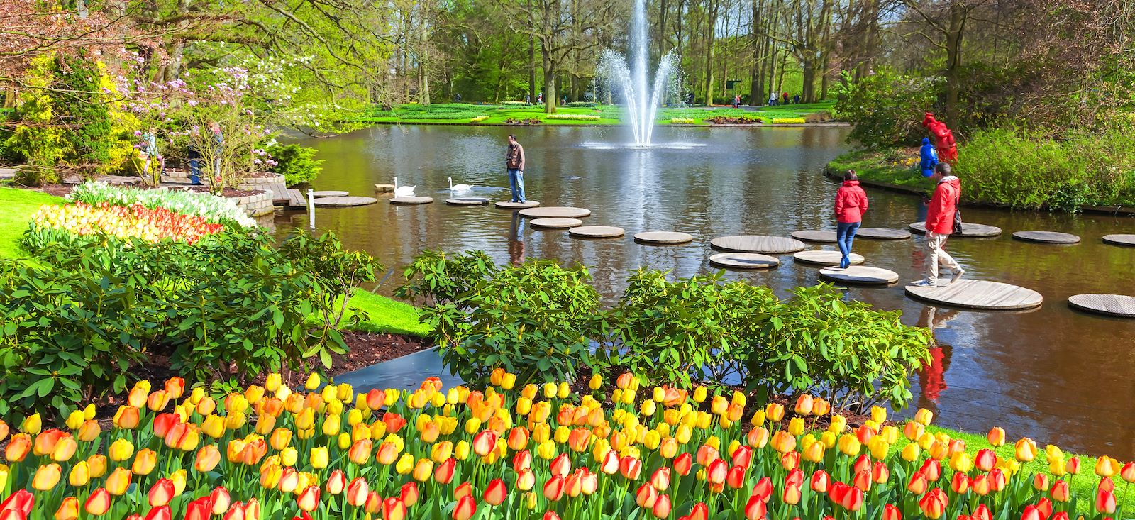 Image La Route des Tulipes