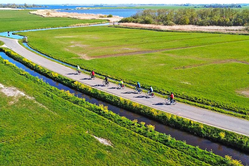 Cycliste sur la Route des Tulipes - Pays-Bas