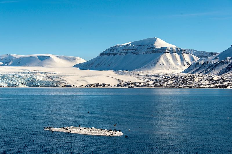 Glacier Nordenskiöldbreen - Spitzberg - Svalbard - Norvège