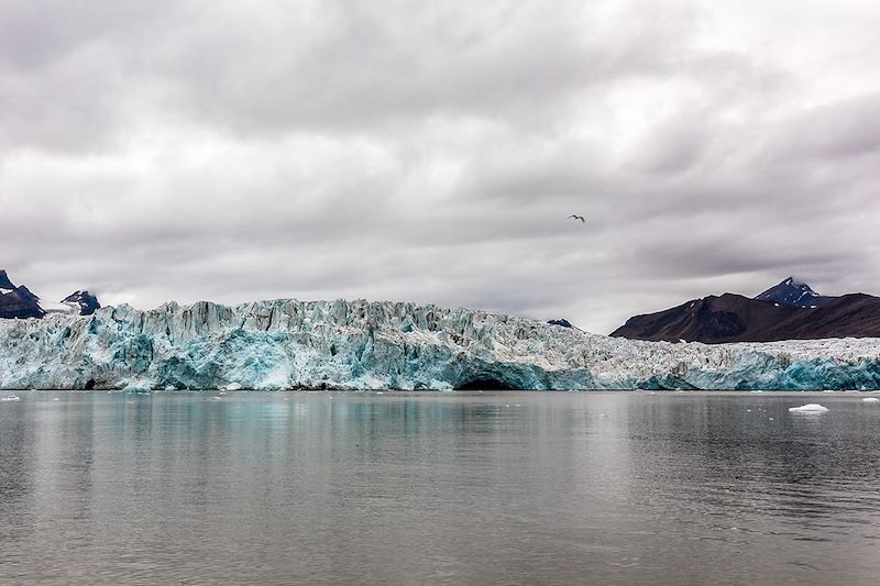 Glacier Wahlenbergen - Spitzberg - Svalbard - Norvège