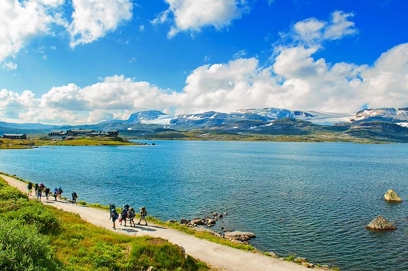 Randonneurs à Finse - Comté de Vestland - Norvège