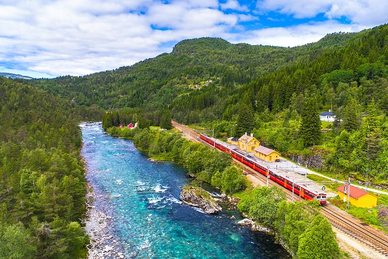 Train sur le trajet Oslo-Bergen - Norvège