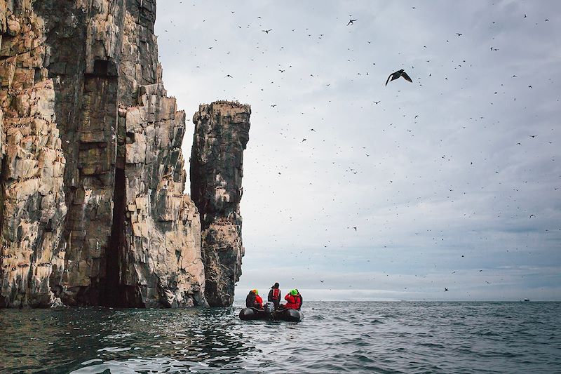 Falaises de Alkefjellet - Île du Spitzberg - Svalbard - Norvège