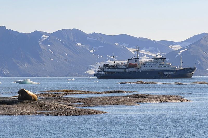 MV Plancius - Île du Spitzberg - Svalbard - Norvège