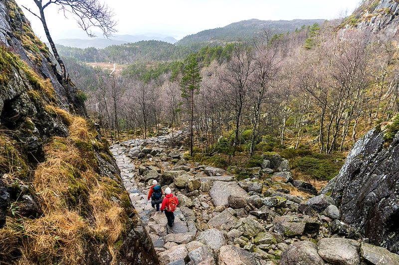 Randonnée vers Preikestolen - Rogaland - Norvège